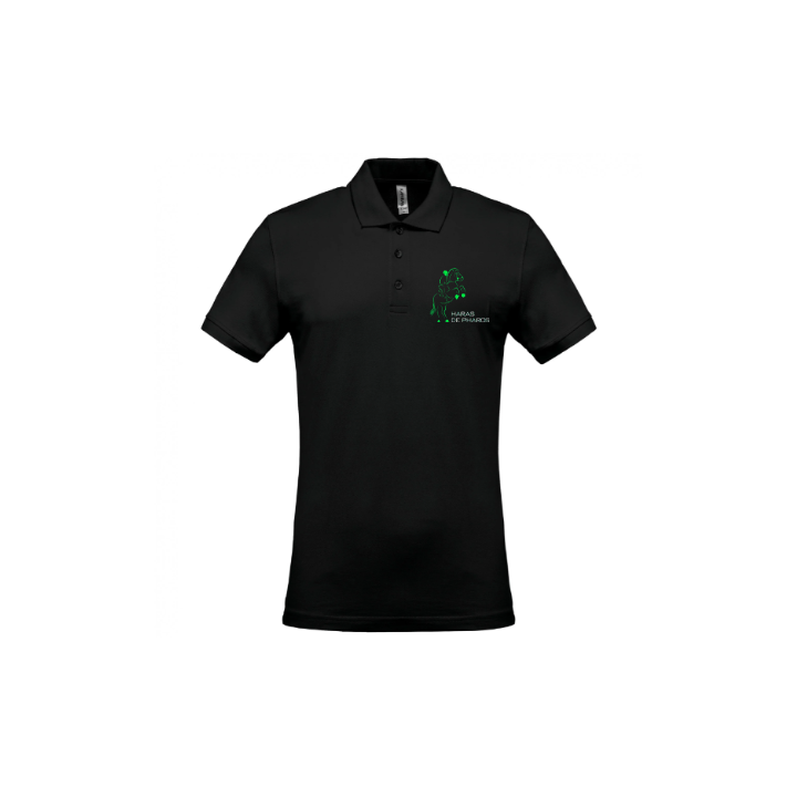 Polo – Haras de Pharos