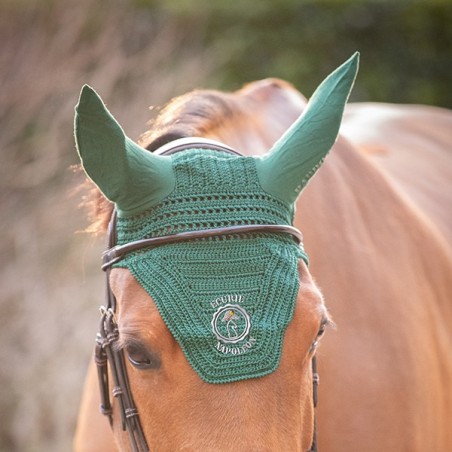 Bonnet Prem’s – Ecurie Napoléon