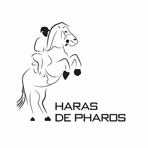 Haras de Pharos